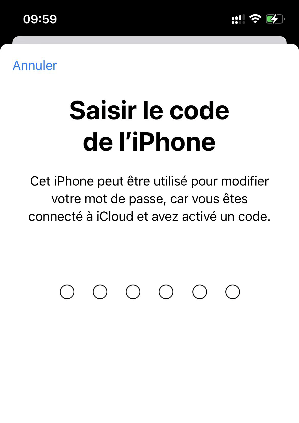 Réinitialiser le mot de passe Apple ID sur l'iPhone - 3