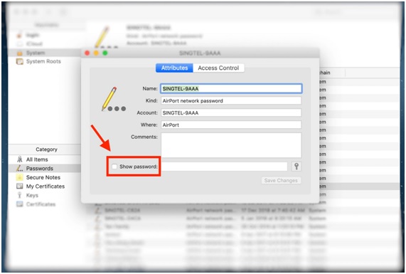 cliquez sur afficher le mot de passe